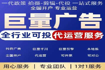 某电商平台的SEM策略与效果展示